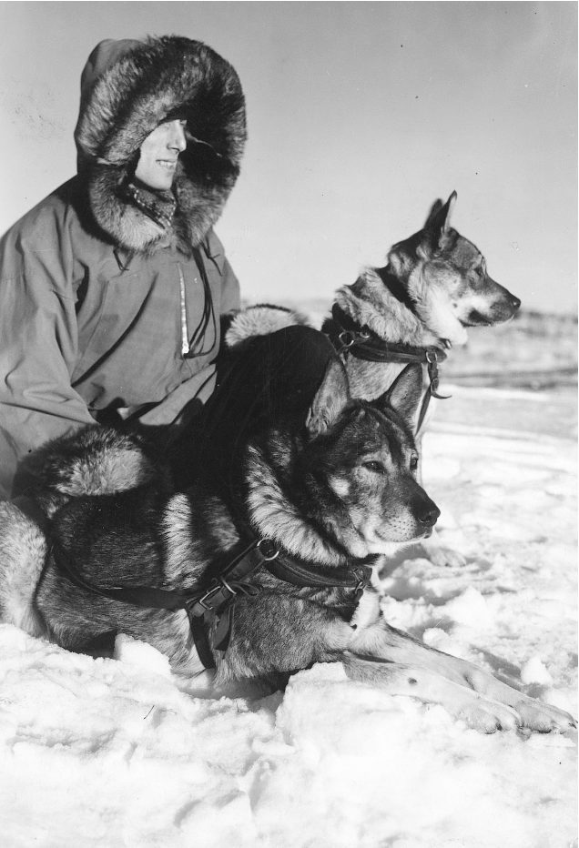 akselochhundar